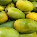 कृत्रिम रूपमा पकाइएका आँप खाँदा के ध्यान दिनुपर्छ ?