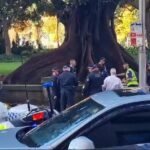 सिड्नीको CBD मा एक प्रहरी अधिकारीको टाउकोमा छुरा प्रहार