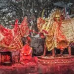 २०८१ असार ०५ गते बुधबार यस्तो रहेको छ तपाईको भाग्य, हेर्नुहोस् राशिफल