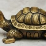 घर वा कार्यालयमा कछुवा किन राखिन्छ, के छन् फाइदा ?