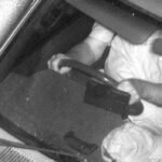 NSW राज्यमा सिटबिल्ट नलगाउने व्यक्तिहरूलाई मोबाइल फोन DETECTION क्यामेराद्वारा तुरुन्तै पत्ता लगाउन सकिने