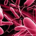 देशभर २० जना बिरामीमा हैजा पुष्टि भएको छ