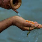 कुशे औंसी: बाबुको मुख हेर्ने दिन र कुशको पौराणिक महत्व