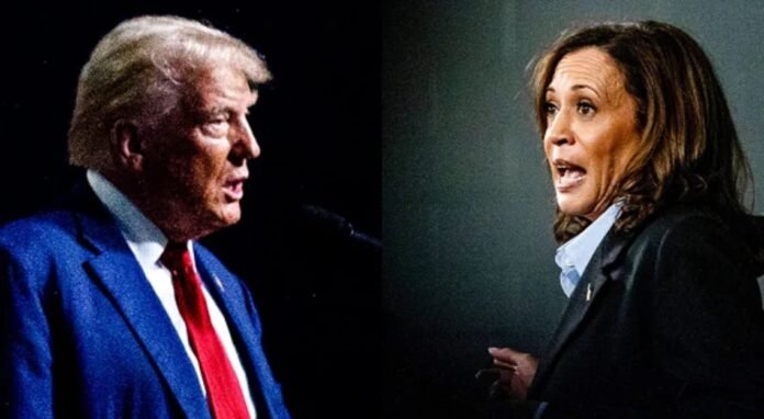 trump-harris_DMA34GBCbx