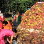 आज तिहारको गोवर्धन, बली, गोरु र हलि पूजा