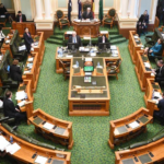 क्वीन्सल्याण्ड संसदले गर्भपतन सम्बन्धी बहसमा चार वर्षको प्रतिबन्ध लगाउने निर्णय गर्यो