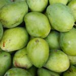 स्वाद पनि, स्वास्थ पनि — काँचो आँप खाँदा हुने यी ४ चमत्कारी लाभ