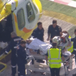 क्विन्सल्याण्डको चिडियाघरमा सिंहको आक्रमण : गम्भीर घाइते भएकी महिला सञ्चालकको पारिवारिक सदस्य भएको खुलासा