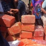 पर्सामा परालमुनी लुकाइराखिएको १५७ किलो गाँजा फेला