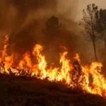 ग्रीसको क्रेट टापुमा भीषण डढेलो, १,५०० भन्दा बढीको उद्धार