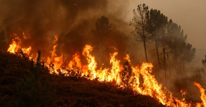 greece-wildfire_desk_00c448d8-3f67-4256-a555-7520f632367e