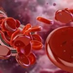 भारतमा नयाँ दुर्लभ रक्त समूह ‘CRIB’ पत्ता