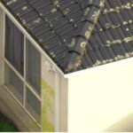 मेलबर्नमा गर्भवती महिला र उनका साथीको हत्या आरोपमा एक पुरुष पक्राउ