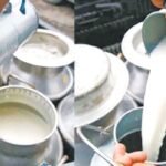 दूग्ध उत्पादन किसानलाई अनुदान