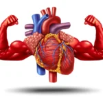 मुटु स्वस्थ राख्न यी १० बानी अनिवार्य अपनाऔं