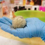 NSW का beach मा भेटिएका debris ballsको स्रोत जोडियो सिड्नीको wastewater प्रणालीसँग