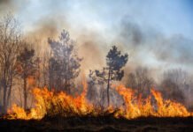 पर्थ आसपास भीषण डढेलो, बासिन्दालाई तत्काल स्थान खाली गर्न निर्देशन